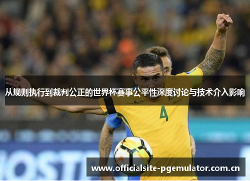 从规则执行到裁判公正的世界杯赛事公平性深度讨论与技术介入影响